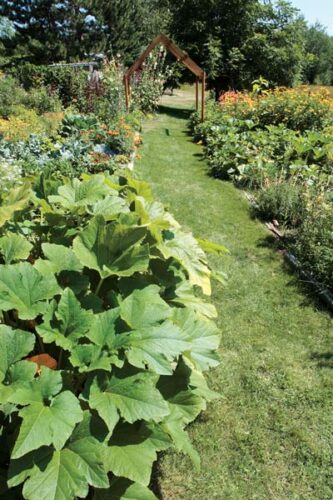Returning to Her Roots: An Organic Food and Flower Garden in Minnesota